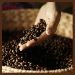 30 days return 100% Arabica