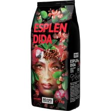 Cafea Boabe, ESPLENDIDA 100% Arabica, BEANS REPUBLIC, 1kg