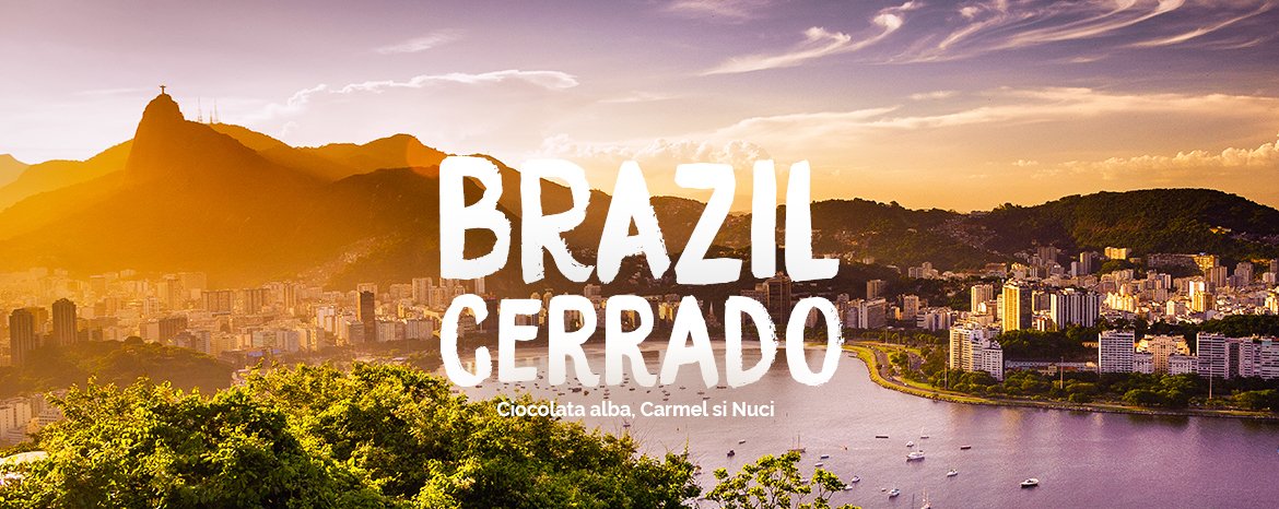 brazil cerrado